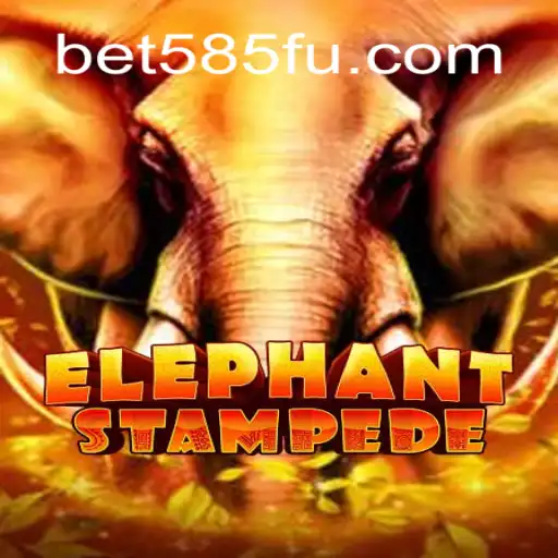 Exploring ElephantStampede: A Thrilling Adventure on Bet585.COM