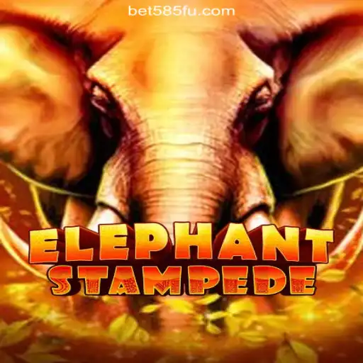 Exploring ElephantStampede: A Thrilling Adventure on Bet585.COM